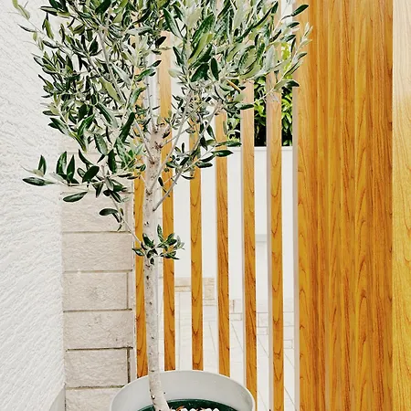 Sunny House דירה